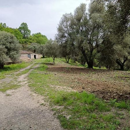 B&B Le Casette Sant'Onofrio  Luaran gambar
