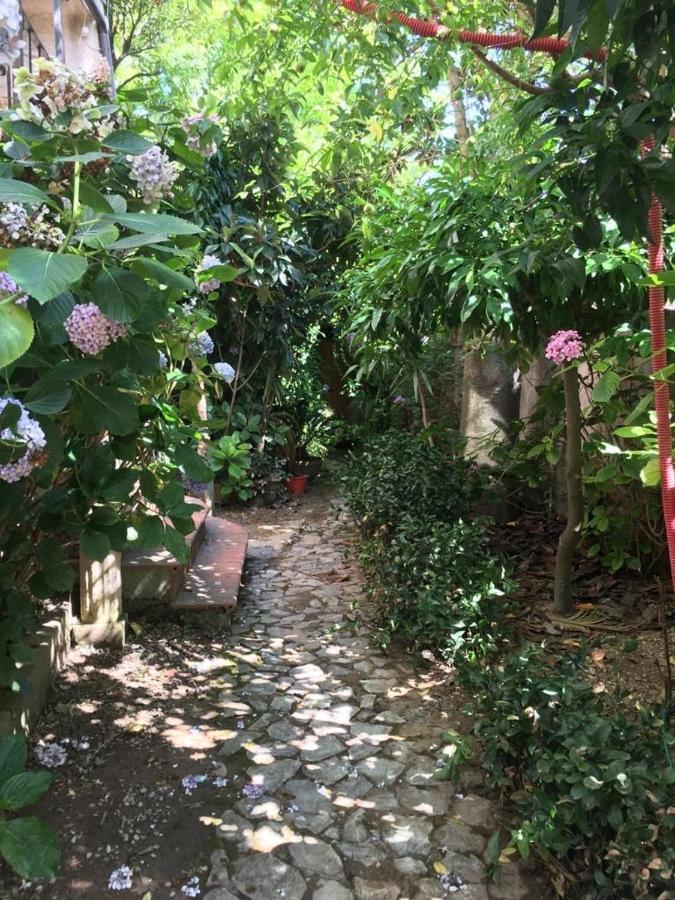 B&B Le Casette Sant'Onofrio  Luaran gambar