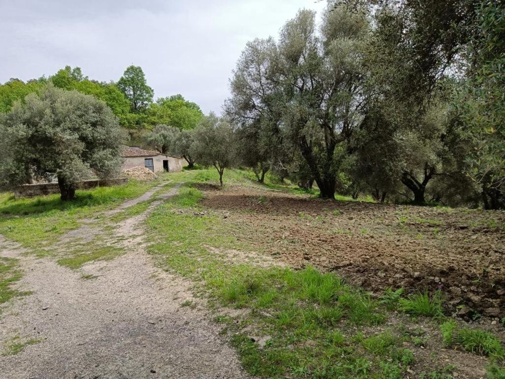 B&B Le Casette Sant'Onofrio  Luaran gambar